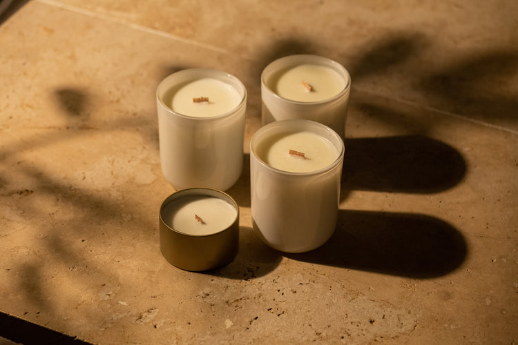 Seasonal Collection 23/24